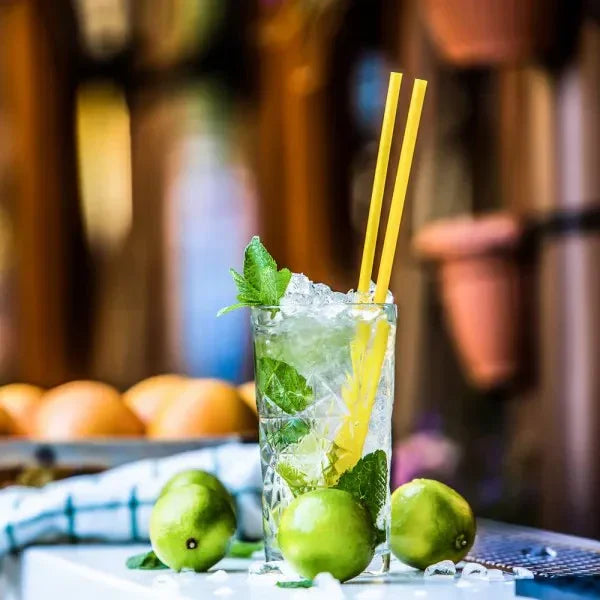 Gastroback 41127 elektrisk iskross