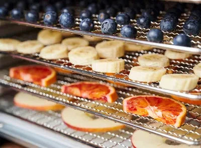 Gastroback Design dehydrator Pro